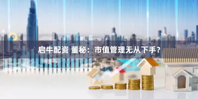 启牛配资 董秘：市值管理无从下手？