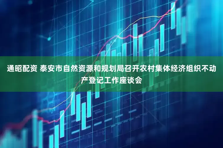 通昭配资 泰安市自然资源和规划局召开农村集体经济组织不动产登记工作座谈会