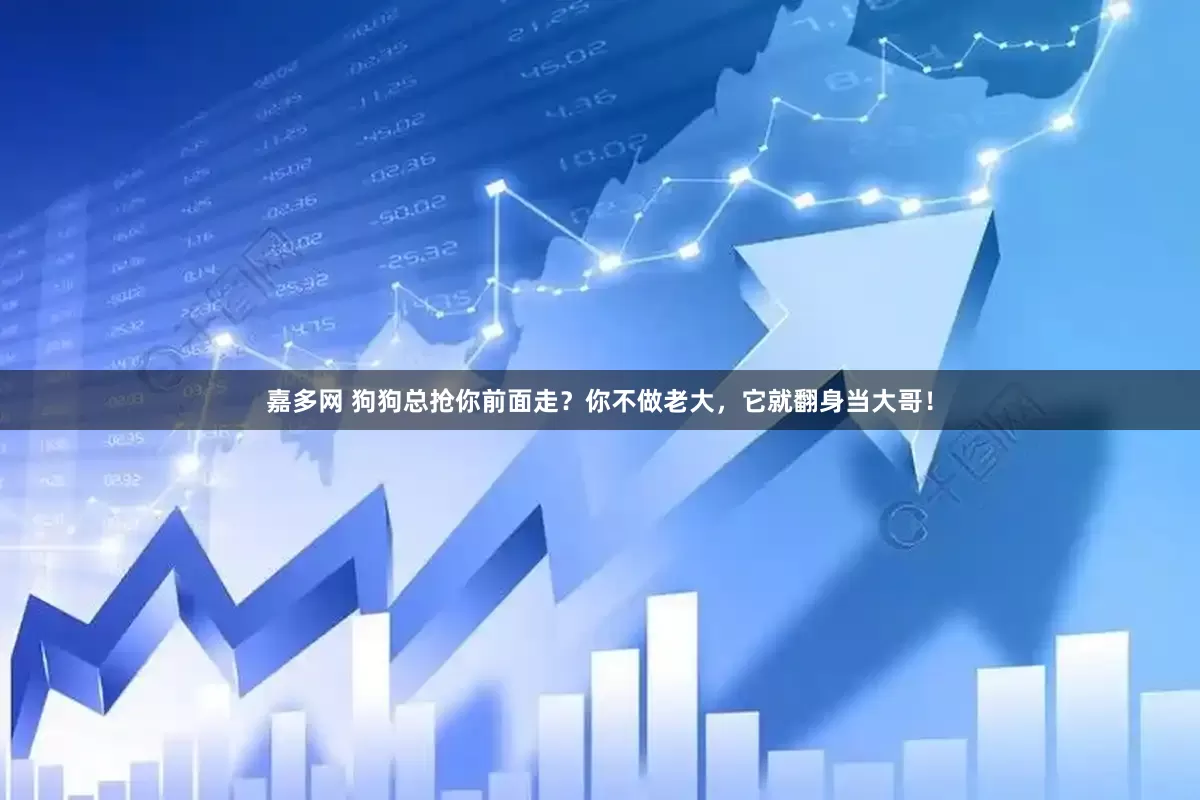 嘉多网 狗狗总抢你前面走？你不做老大，它就翻身当大哥！
