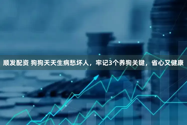 顺发配资 狗狗天天生病愁坏人，牢记3个养狗关键，省心又健康