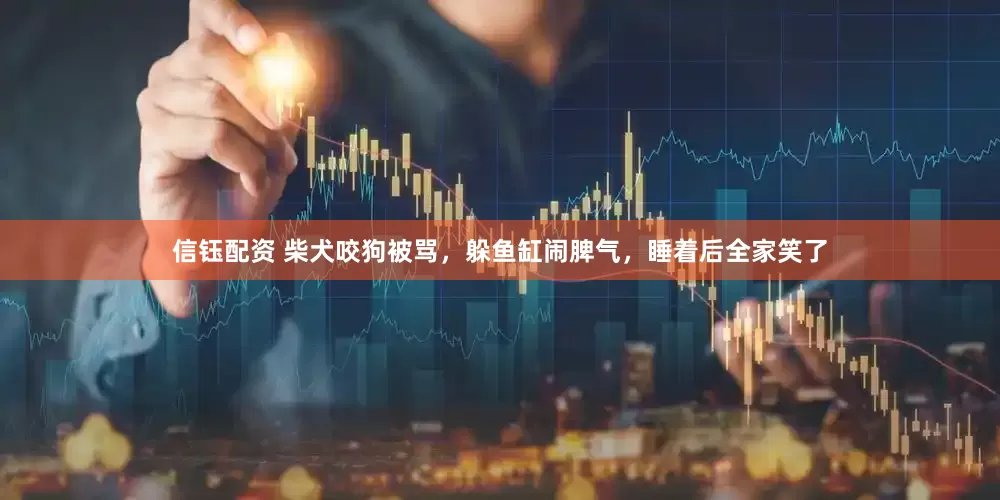 信钰配资 柴犬咬狗被骂，躲鱼缸闹脾气，睡着后全家笑了